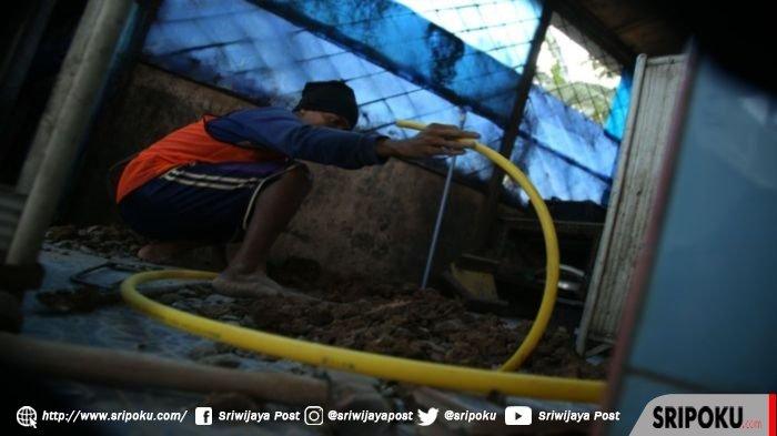 Soal Jaringan Gas, Pengamat Ini Sebut Lebih Ekonomis dan Aman