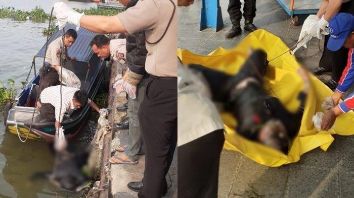 BREAKING NEWS Ada Jenazah Perempuan di Sungai Musi, Rekan Inta Ferli Datangi RS Bhayangkara