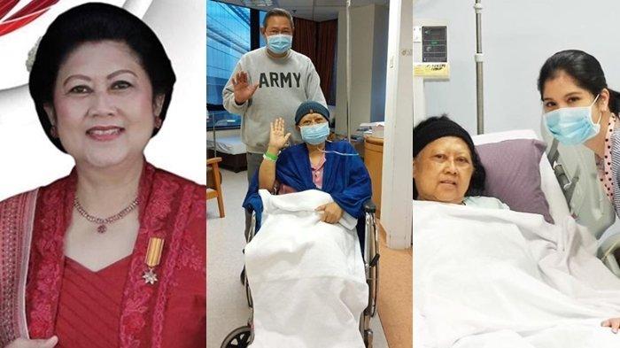 WASPADA, Beberapa Makanan Ini Jadi Pemicu Munculnya Penyakit Leukimia