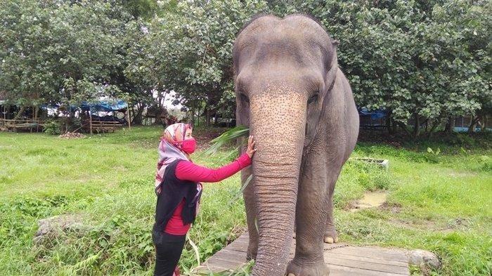 USIANYA Sudah Kepala 5, SITI Kesepian Tak Ada Pasangan: Kabur Cari Kesenangan Malah Bikin Petaka