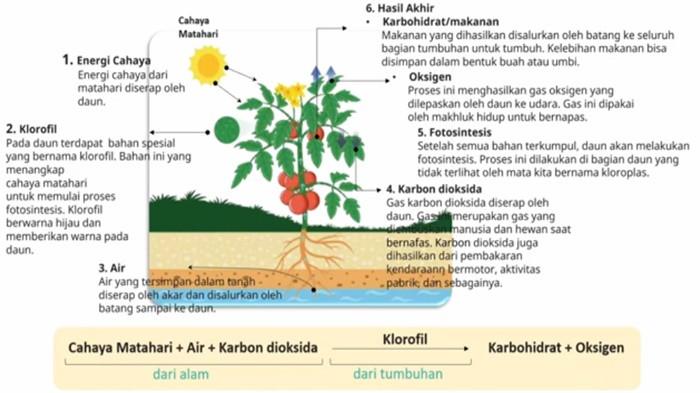 gambar2 materi IPA