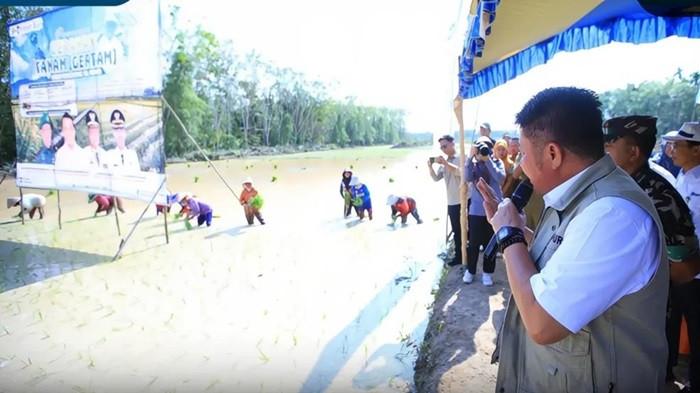 GERAKAN TANAM - Gerakan Tanam Sebagai wujud nyata gerakan, dicanangkan secara serentak di 17 kabupaten/kota berpusat di Desa Cahya Bumi, Kecamatan Lempuing pada Selasa (19/5/2026) pagi.  Gerakan ini menjadi langkah konkret daerah untuk mempertahankan dan mencapai target produksi 5 juta ton gabah kering giling (GKG) di Sumatera Selatan.