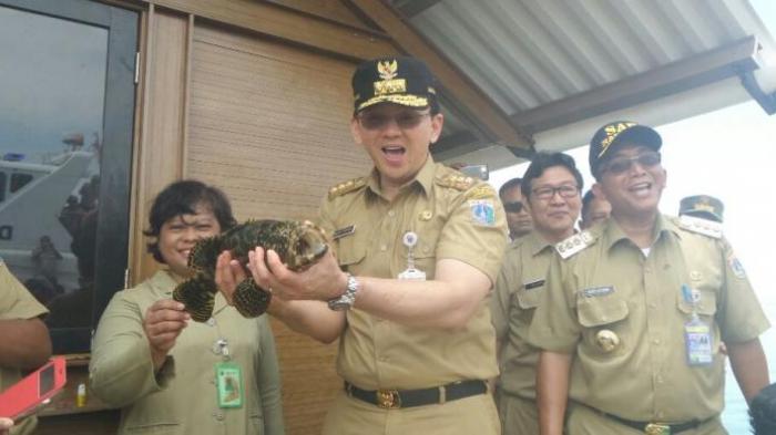 Kutip Surat Al Maidah Ayat 51, Ahok Dilaporkan ke Bawaslu. Ini Tanggapannya