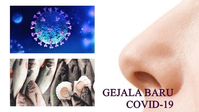 Mulai 1 Januari WNA Dilarang Masuk Indonesia, Khusus WNI Dibolehkan Tapi Harus Ikuti 3 Syarat Ini