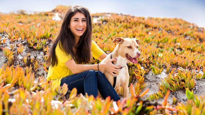 5 Tips Hemat Merawat Hewan Peliharaan, Begini Cara Membeli Makan hingga Merawatnya agar tak Boros