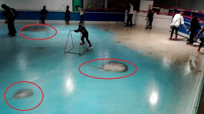 Arena Ice Skating ini Jadi Viral di Dunia Maya, Lihat Apa yang Ada di Bawahnya