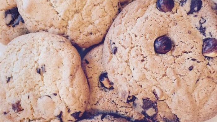 Jangan Pernah Beri Makanan Ini Pada Hewan Peliharaan Anda!