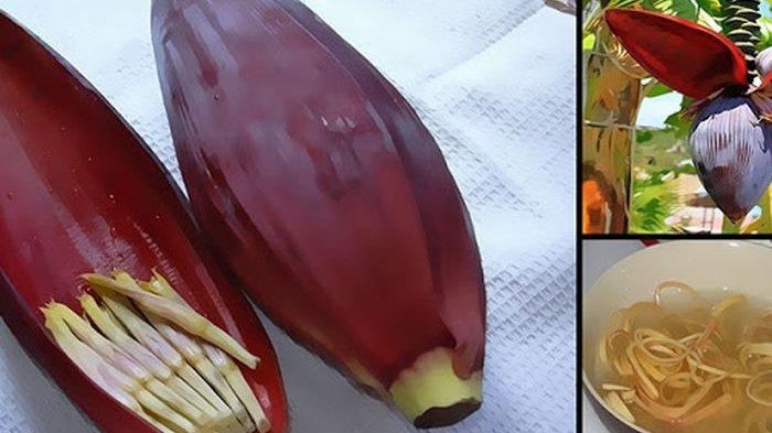 Mengkonsumsi Jantung Pisang Dapat Memperkuat Rahim
