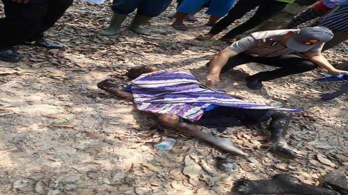 Akibat Bakar Lahan, Marbot Masjid Ini Tewas Terbakar, Dikepung Api di Dalam Hutan