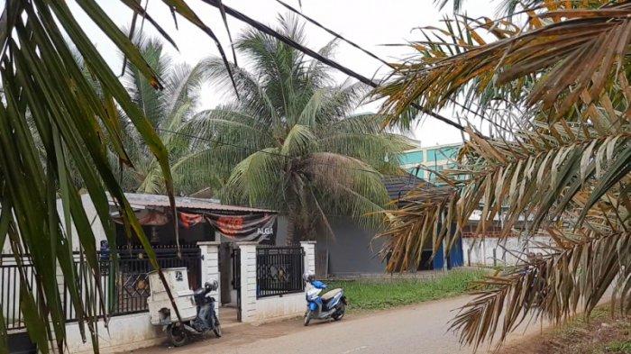 Tiang Listrik Jaraknya Terlalu Jauh, Kabel Listrik Ini Dicantolkan ke Dahan, Kalau tidak Bahaya