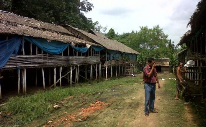 Aktivitas Kandang Ayam Bau dan Banyak Lalat