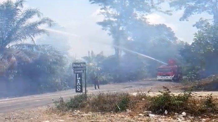 4 Jam Api Menyala Baru Dapat Laporan, 1 Hektar Lahan Terbakar di Muara Enim