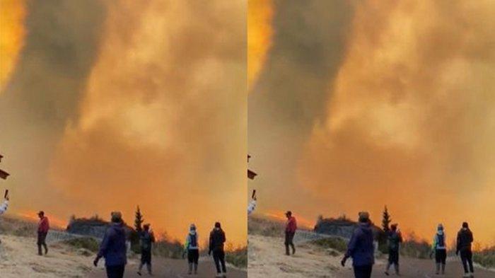 Update Kebakaran di Bukit Teletubbies, Belum Sepenuhnya Padam, 50 Hektare Lahan Hangus