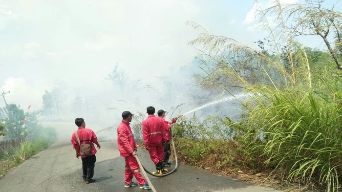 Berita Lahat : Tak Kunjung Hujan, Titik Api di Lahat Meningkat, Semak Belukar Mulai Terbakar