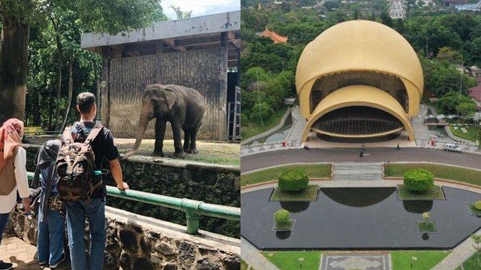 Berapa Biaya Masuk Wisata ke Kebun Binatang Ragunan dan TMII Indonesia untuk Liburan Desember 2022 ?