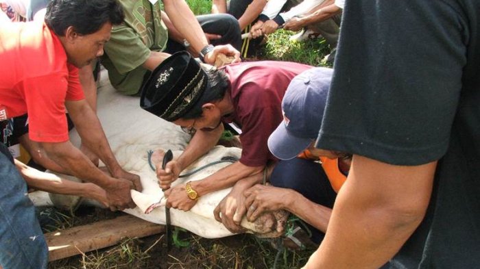 Mungkin Banyak yang tak Tahu. Ternyata Orang tak Mampu Juga Bisa Berqurban. Ini Penjelasannya