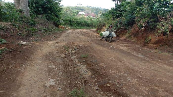 Puluhan Tahun Menderita, Warga Talang Banan Rindukan Pembangunan Jalan