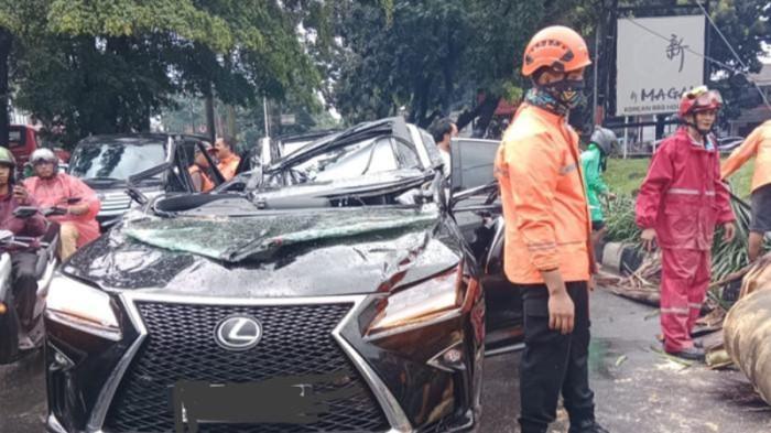 Identitas Pengemudi Lexus Tewas Tertimpa Pohon Tumbang. Warga : Pondok Indah Mencekam