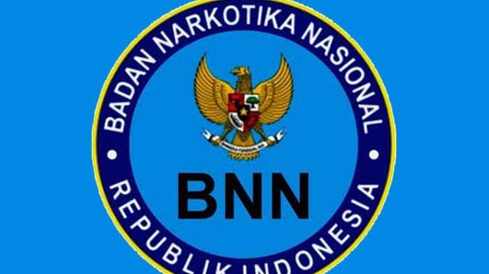 Minimnya Sarana dan Prasarana, Aktivitas  BNNK OKI Terbatas
