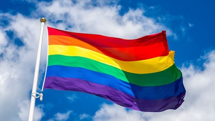 OPINI: Mengintip Dunia Pelangi dan Kontrovensinya