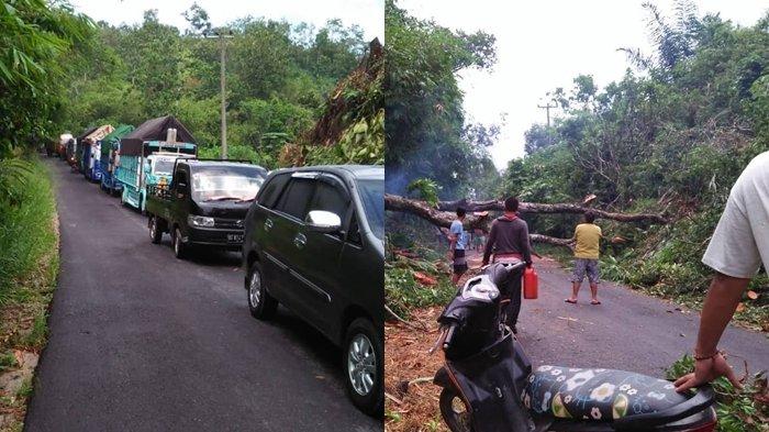 Sebab Puluhan Kendaraan 9 Jam Terjebak Macet di Jalan Desa Tanjung Raya Buay Sandang Aji OKU Selatan