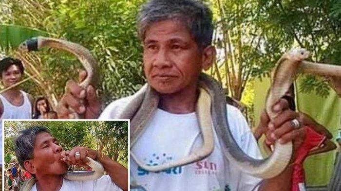 Cium Ular Kobra, Si 'Manusia Ular' yang Kebal Bisa Itu Tewas Digigit di Lidah