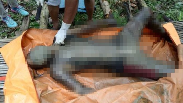 Warga Tempirai PALI Gempar, Jasad Bapak dan Anak Ditemukan Tewas Membusuk di Kebun