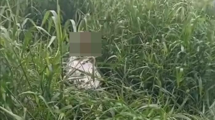 Breaking News: Heboh Mayat Dalam Karung di Muba, Warga Duga RK Dibunuh