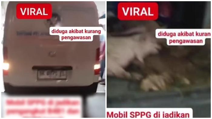 MOBIL Logo BGN Angkut Hewan Babi Hidup, Belum Resmi Jadi Mitra SPPG, Wakil Kepala BGN Lapor Polisi