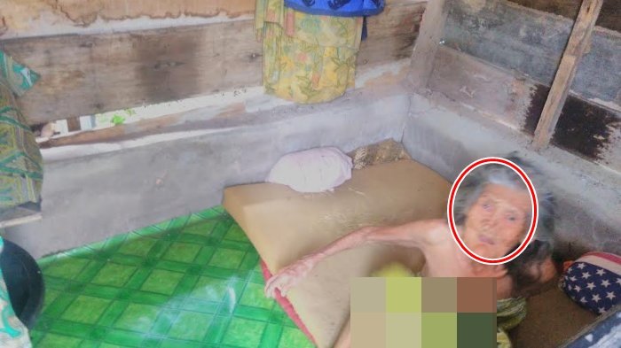Nenek di Palembang Tinggal Sendirian di Dalam Gubuk Begini Kondisinya