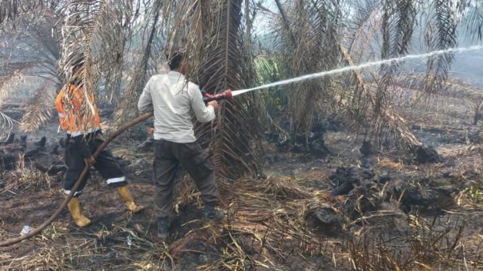 Tim Gabungan Polres Muara Enim Padamkan Karhutla 7 Hektare, Lahan Gambut Milik Dokter Asal Palembang