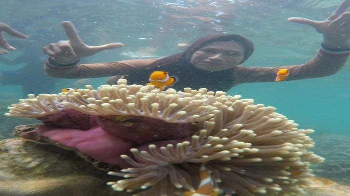 Paket Liburan ke Lampung, Snorkeling di Pahawang dan Tegal Mas Paling Diminati Warga Sumsel