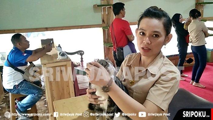 Rumah Kucing, Wahana Baru Bird Park OPI Jakabaring Palembang, Ajak Main Kucing Lucu Berbagai Jenis