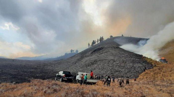 Ini Sosok Manajer WO Prewedding yang Jadi Tersangka dan Sebabkan Bukit Teletubbies di Bromo Terbakar
