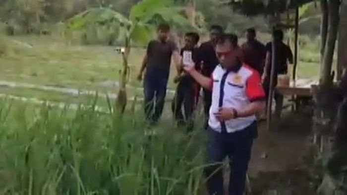 Pemain Lama di Sekayu Muba Ini Tanam Sabu-sabu di Kebun Cabai