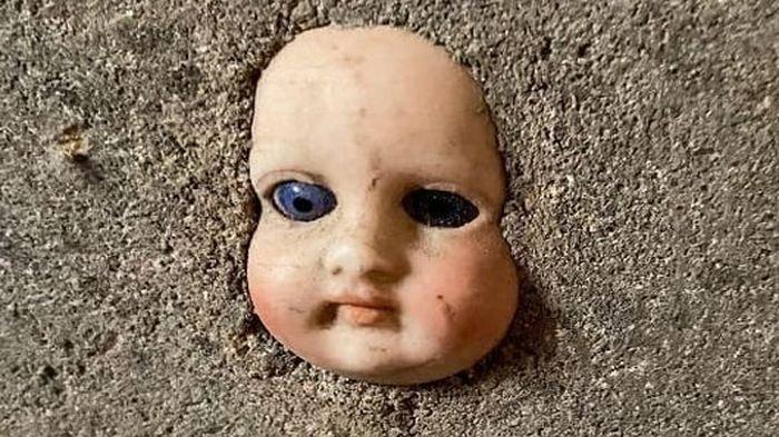 Pindah Rumah Baru Saat ke Ruang Bawah Temukan Penampakan Kepala Boneka Bayi Seram, Pindah Lagi?