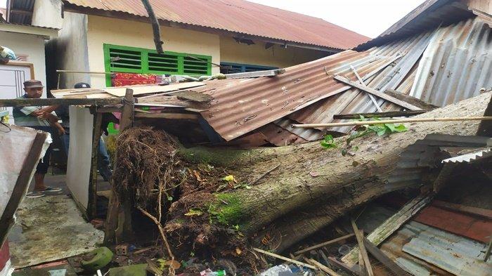 Bayi 1 Tahun Lolos dari Maut, Pohon Tumbang Timpa 2 Rumah Warga di Tangga Takat Palembang