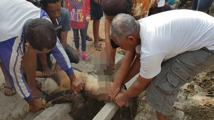 Sidang Isbat: Idul Adha 31 Juli 2020