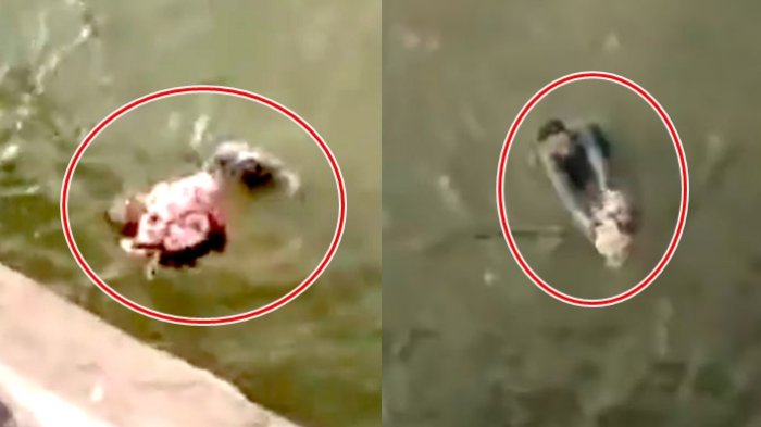 Asyik Nyetir, Sopir Taksi Liat Ibu Lempar Sesuatu dari Atas Jembatan, Saat Dilihat Semua Warga Heboh