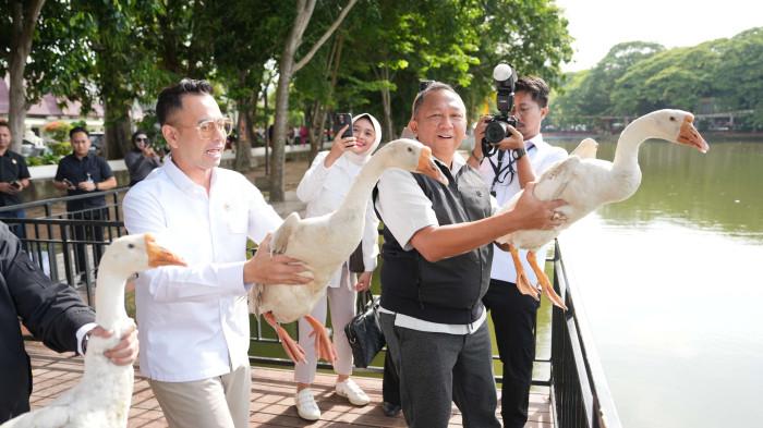 Momen Raffi Ahmad Datang ke Kambang Iwak Palembang, Lepas Angsa dan Ikan Koi Bersama Kajati Sumsel