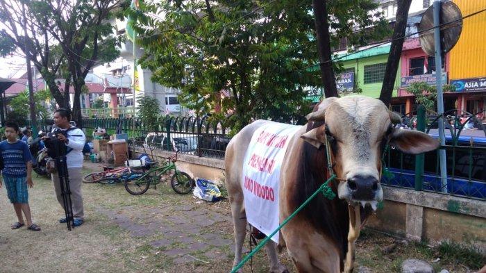 Antisipasi Membludaknya Warga Datang, Masjid Agung Palembang Bagikan Daging Kurban Melalui RT