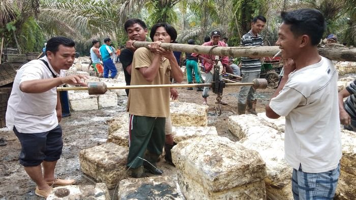 Harga Karet di PALI Tembus Rp 7.00 per Kg, lIHAT Wajah-wajah Mu