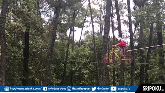 Sensasi Sepeda Gantung Diatas Pohon Pinus, TWA Punti Kayu Tambah 3 Wahana Spot Instagramable