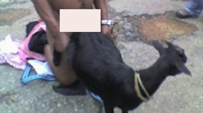 Oriq dumba va katta sik porno Vaginada sperma bilan tola porno