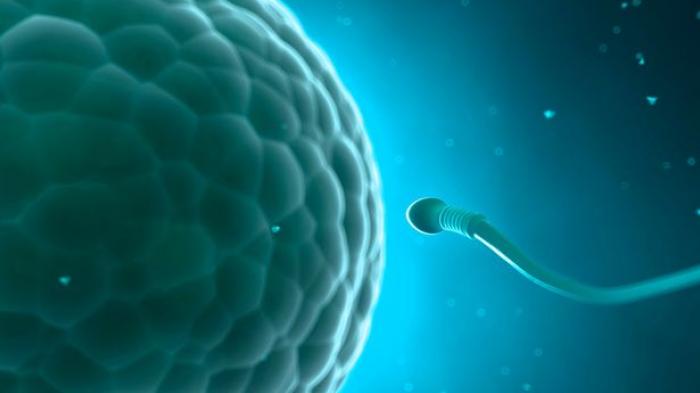 Takut Vasektomi, Kedepan Kaum Laki-Laki Bisa Pertimbangkan Kontrasepsi Ini