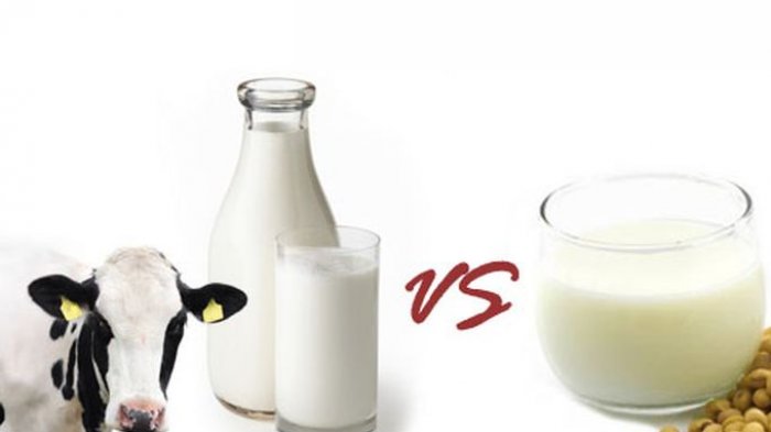 Sama-sama Sehat, Inilah Bedanya Susu Sapi dan Susu Kedelai, Pilih yang Mana?