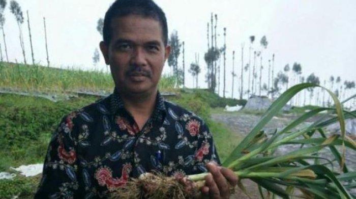 Pada 2021, Kementerian Pertanian Optimis Swasembada Bawang Putih