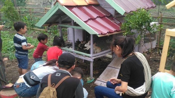 Anak-anak Begitu Cerianya saat bercanda dengan Kelinci di Taman Kelinci Rawa Borang Palembang