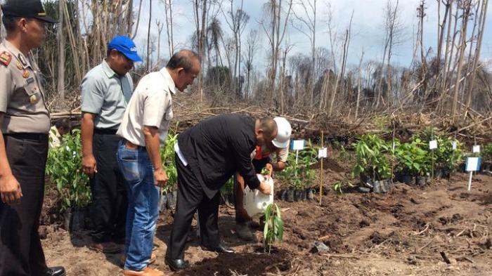 PT Hindoli Janji tidak Ada Titik Api Tahun Ini