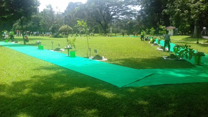 Raja Salman akan Tanam Pohon Kayu Besi di Istana Bogor